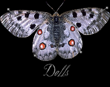 paper dolls