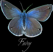 fairy paper dolls