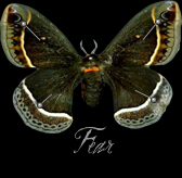 the fear project